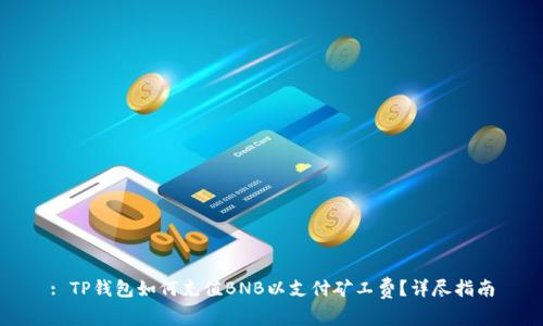 : TP钱包如何充值BNB以支付矿工费?详尽指南