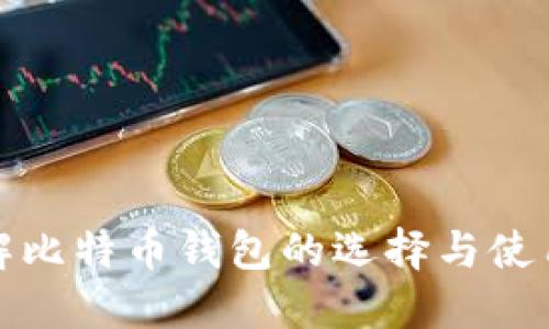: 详解比特币钱包的选择与使用方法