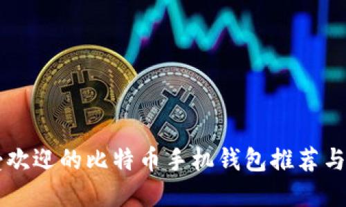 中国最受欢迎的比特币手机钱包推荐与使用指南