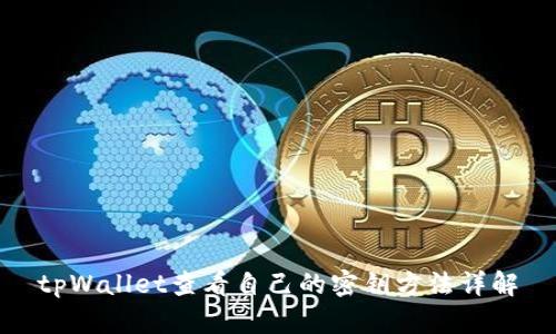 tpWallet查看自己的密钥方法详解