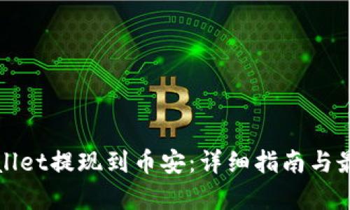 如何将tpWallet提现到币安:详细指南与最佳通道选择