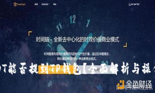 : USDT能否提到TP钱包？全面解析与操作指南