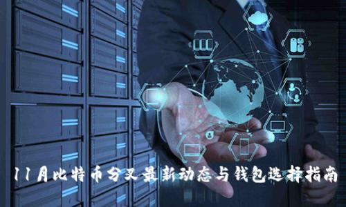 11月比特币分叉最新动态与钱包选择指南