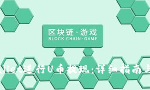 如何使用TPWallet进行U币提现:详细指南与常见问题解答
