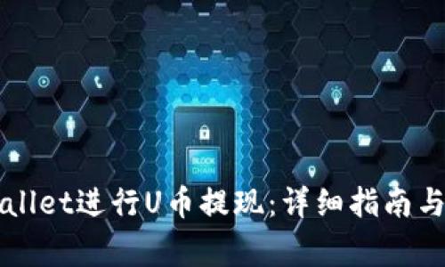 如何使用TPWallet进行U币提现:详细指南与常见问题解答