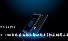 xiaoguo/xiaoguotpWallet BNB到账