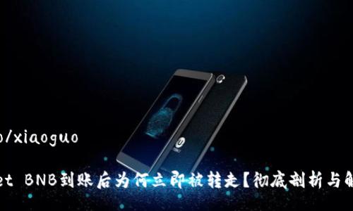 xiaoguo/xiaoguo
tpWallet BNB到账后为何立即被转走?彻底剖析与解决方案
