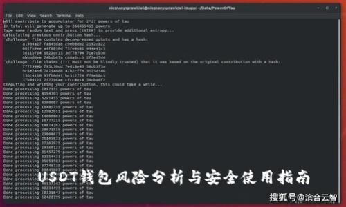USDT钱包风险分析与安全使用指南