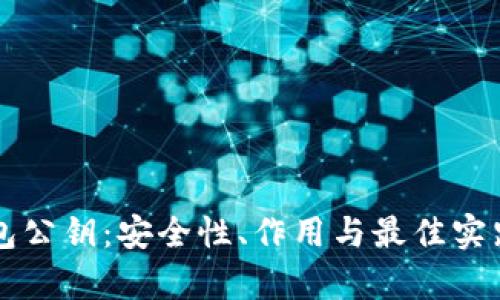 比特币钱包公钥:安全性、作用与最佳实践全面解析