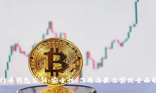 比特币钱包公钥:安全性、作用与最佳实践全面解析