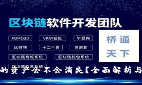 TP钱包里的资产会不会消失?全面解析与保障措施