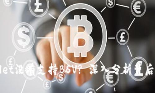 为什么TPWallet没有支持BSV? 深入分析背后的原因与影响