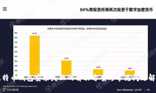 比特币钱包安装失败的解决方案与常见问题解析