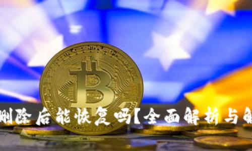 TP钱包删除后能恢复吗?全面解析与解决方案