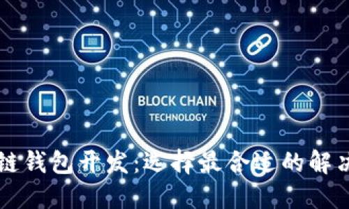 区块链钱包开发：选择最合适的解决方案