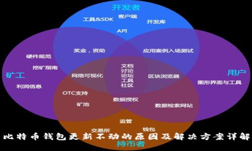 比特币钱包更新不动的原因及解决方案详解