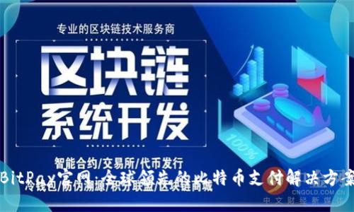 BitPay官网:全球领先的比特币支付解决方案