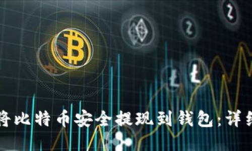 如何将比特币安全提现到钱包:详细指南