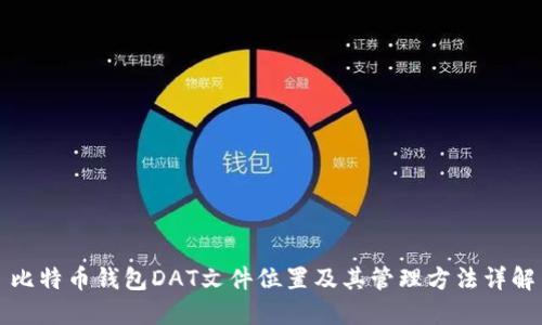 比特币钱包DAT文件位置及其管理方法详解