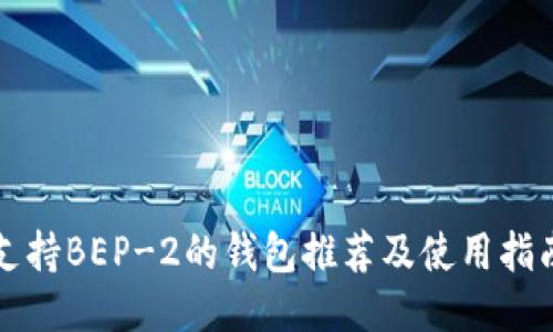 支持BEP-2的钱包推荐及使用指南