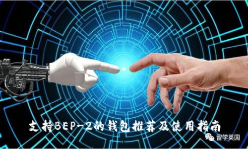 支持BEP-2的钱包推荐及使用指南