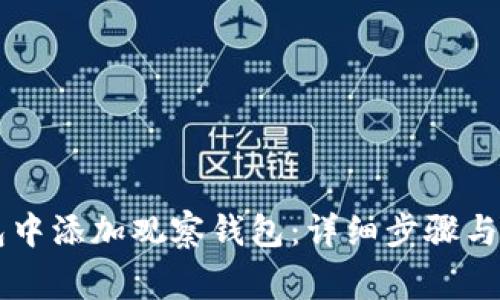 如何在im钱包中添加观察钱包:详细步骤与常见问题解答