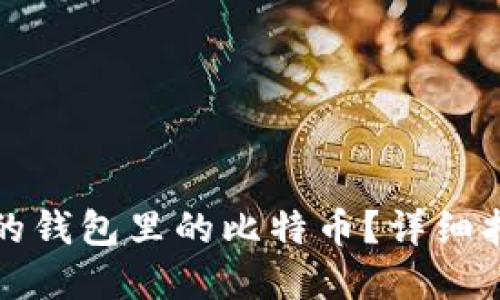如何找回丢失的钱包里的比特币?详细指南与解决方案