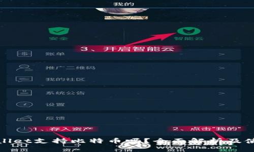 : tpWallet支持比特币吗?全面解析及使用指南