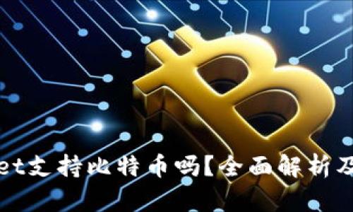 : tpWallet支持比特币吗?全面解析及使用指南