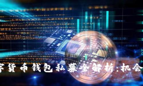 2019年数字货币钱包私募全解析:机会与风险共存