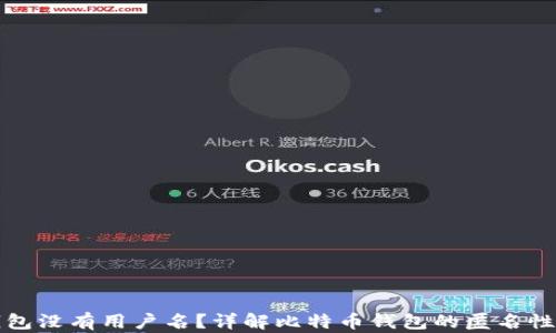 比特币钱包没有用户名?详解比特币钱包的匿名性与安全性