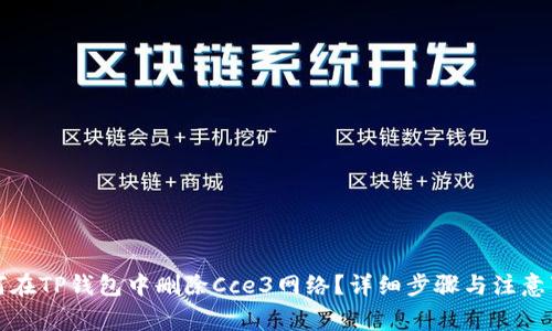 如何在TP钱包中删除Cce3网络?详细步骤与注意事项