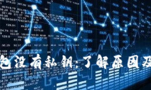 比特币钱包没有私钥:了解原因及替代方案