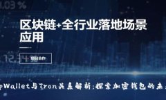 tpWallet与Tron关系解析：探