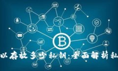 比特币钱包可以存放多少